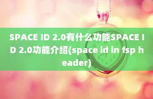 SPACE ID 2.0有什么功能SPACE ID 2.0功能介绍(space id in fsp header)