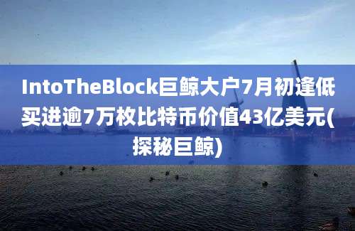 IntoTheBlock巨鲸大户7月初逢低买进逾7万枚比特币价值43亿美元(探秘巨鲸)