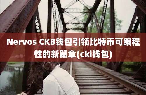 Nervos CKB钱包引领比特币可编程性的新篇章(cki钱包)