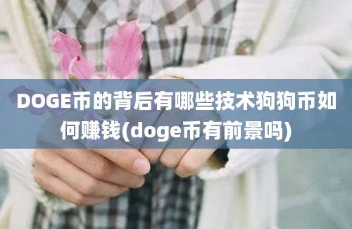 DOGE币的背后有哪些技术狗狗币如何赚钱(doge币有前景吗)