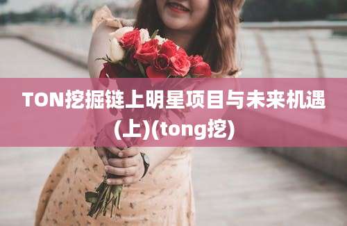 TON挖掘链上明星项目与未来机遇(上)(tong挖)