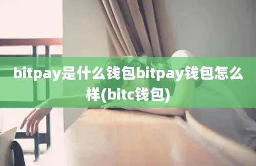 bitpay是什么钱包bitpay钱包怎么样(bitc钱包)