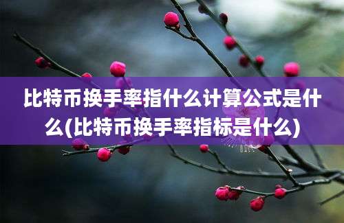 比特币换手率指什么计算公式是什么(比特币换手率指标是什么)