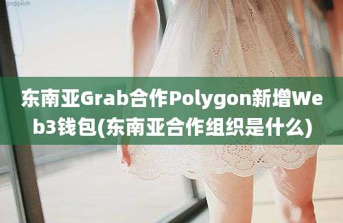 东南亚Grab合作Polygon新增Web3钱包(东南亚合作组织是什么)