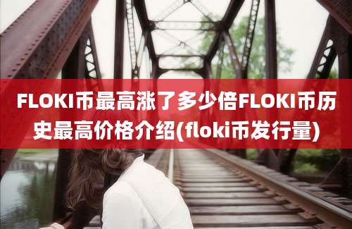 FLOKI币最高涨了多少倍FLOKI币历史最高价格介绍(floki币发行量)