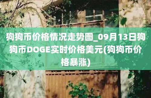 狗狗币价格情况走势图_09月13日狗狗币DOGE实时价格美元(狗狗币价格暴涨)