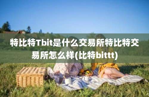 特比特Tbit是什么交易所特比特交易所怎么样(比特bittt)