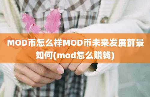 MOD币怎么样MOD币未来发展前景如何(mod怎么赚钱)