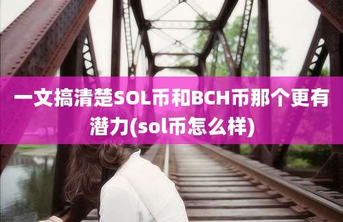 一文搞清楚SOL币和BCH币那个更有潜力(sol币怎么样)