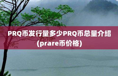 PRQ币发行量多少PRQ币总量介绍(prare币价格)