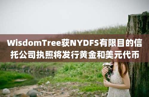 WisdomTree获NYDFS有限目的信托公司执照将发行黄金和美元代币