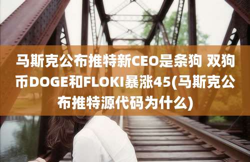 马斯克公布推特新CEO是条狗 双狗币DOGE和FLOKI暴涨45(马斯克公布推特源代码为什么)