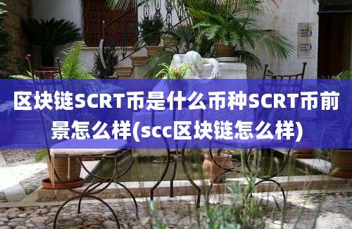 区块链SCRT币是什么币种SCRT币前景怎么样(scc区块链怎么样)