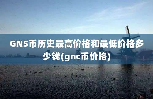 GNS币历史最高价格和最低价格多少钱(gnc币价格)