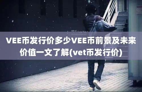 VEE币发行价多少VEE币前景及未来价值一文了解(vet币发行价)