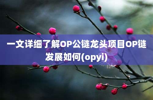 一文详细了解OP公链龙头项目OP链发展如何(opyi)