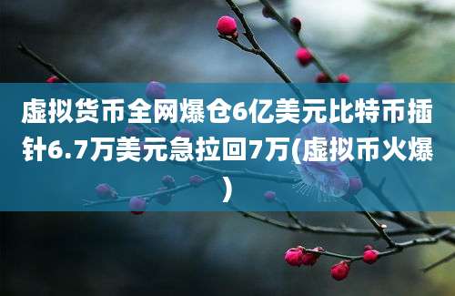 虚拟货币全网爆仓6亿美元比特币插针6.7万美元急拉回7万(虚拟币火爆)