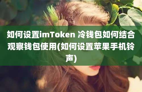 如何设置imToken 冷钱包如何结合观察钱包使用(如何设置苹果手机铃声)