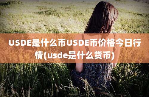 USDE是什么币USDE币价格今日行情(usde是什么货币)