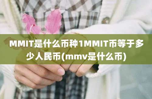 MMIT是什么币种1MMIT币等于多少人民币(mmv是什么币)