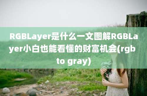 RGBLayer是什么一文图解RGBLayer小白也能看懂的财富机会(rgb to gray)