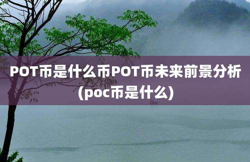 POT币是什么币POT币未来前景分析(poc币是什么)