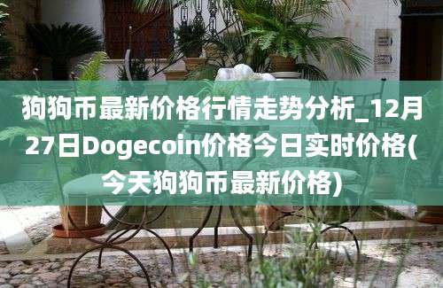 狗狗币最新价格行情走势分析_12月27日Dogecoin价格今日实时价格(今天狗狗币最新价格)