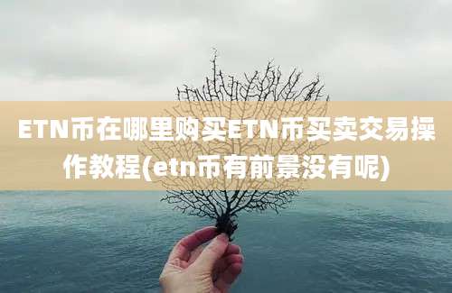 ETN币在哪里购买ETN币买卖交易操作教程(etn币有前景没有呢)