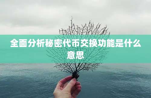 全面分析秘密代币交换功能是什么意思