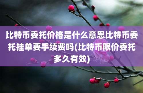 比特币委托价格是什么意思比特币委托挂单要手续费吗(比特币限价委托多久有效)