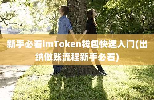 新手必看imToken钱包快速入门(出纳做账流程新手必看)