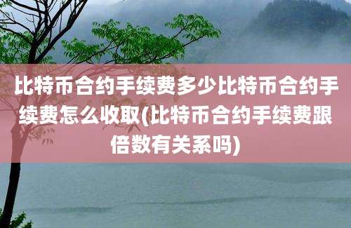 比特币合约手续费多少比特币合约手续费怎么收取(比特币合约手续费跟倍数有关系吗)