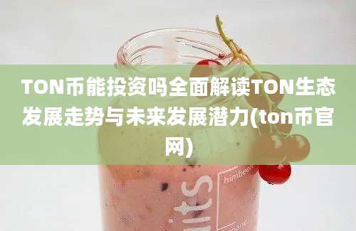 TON币能投资吗全面解读TON生态发展走势与未来发展潜力(ton币官网)