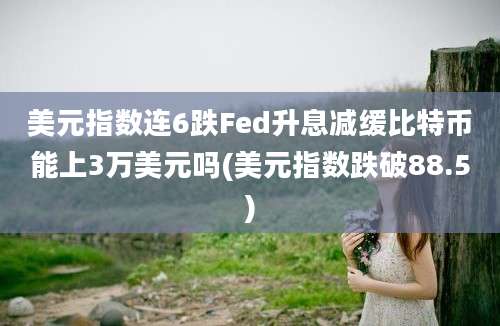 美元指数连6跌Fed升息减缓比特币能上3万美元吗(美元指数跌破88.5)