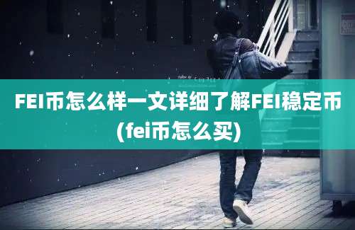 FEI币怎么样一文详细了解FEI稳定币(fei币怎么买)