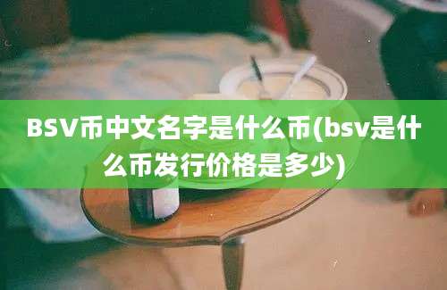 BSV币中文名字是什么币(bsv是什么币发行价格是多少)