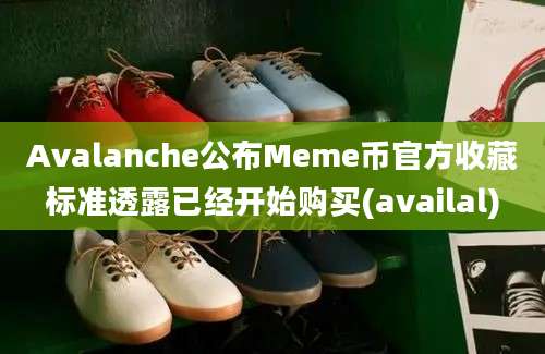 Avalanche公布Meme币官方收藏标准透露已经开始购买(availal)