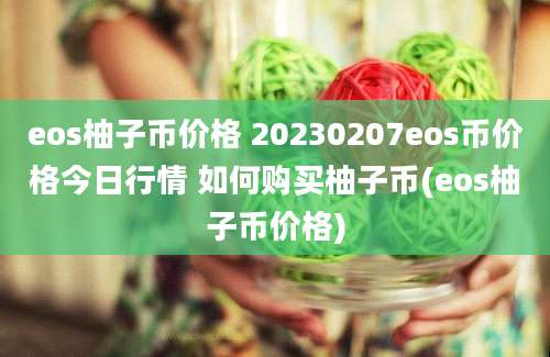 eos柚子币价格 20230207eos币价格今日行情 如何购买柚子币(eos柚子币价格)