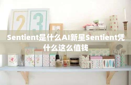 Sentient是什么AI新星Sentient凭什么这么值钱