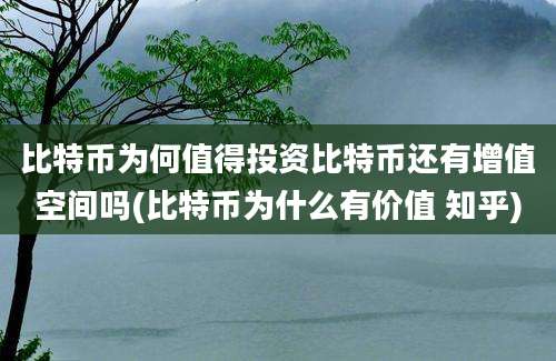 比特币为何值得投资比特币还有增值空间吗(比特币为什么有价值 知乎)