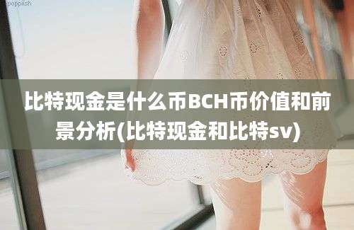 比特现金是什么币BCH币价值和前景分析(比特现金和比特sv)