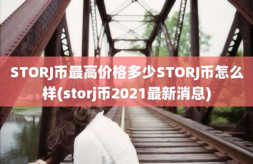 STORJ币最高价格多少STORJ币怎么样(storj币2021最新消息)