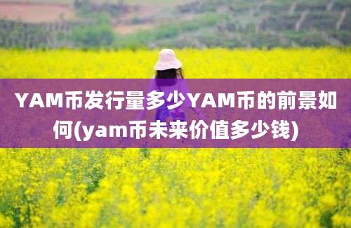 YAM币发行量多少YAM币的前景如何(yam币未来价值多少钱)