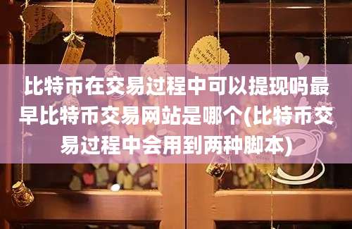 比特币在交易过程中可以提现吗最早比特币交易网站是哪个(比特币交易过程中会用到两种脚本)