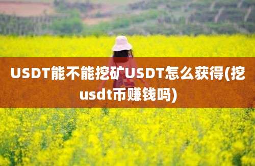 USDT能不能挖矿USDT怎么获得(挖usdt币赚钱吗)