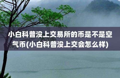 小白科普没上交易所的币是不是空气币(小白科普没上交会怎么样)