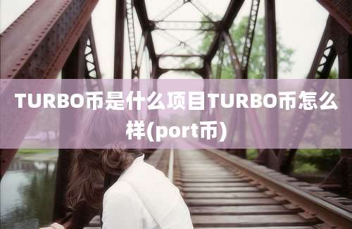 TURBO币是什么项目TURBO币怎么样(port币)