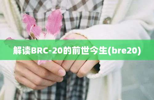 解读BRC-20的前世今生(bre20)