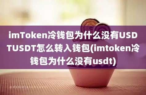 imToken冷钱包为什么没有USDTUSDT怎么转入钱包(imtoken冷钱包为什么没有usdt)