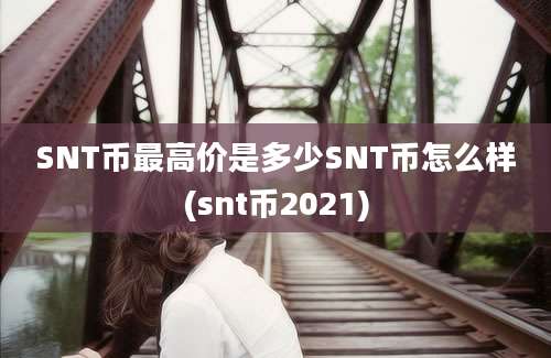 SNT币最高价是多少SNT币怎么样(snt币2021)